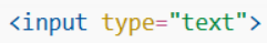 text input type
