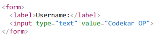 Input Attributes in HTML