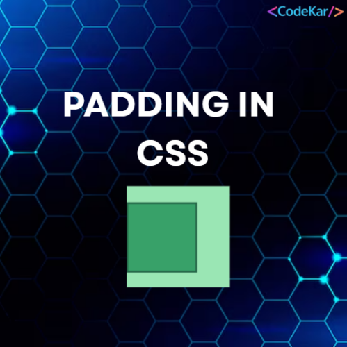 PADDING IN CSS